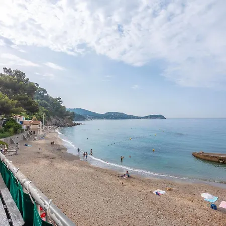 Jeux De Boules 1 - T2 Le Pradet